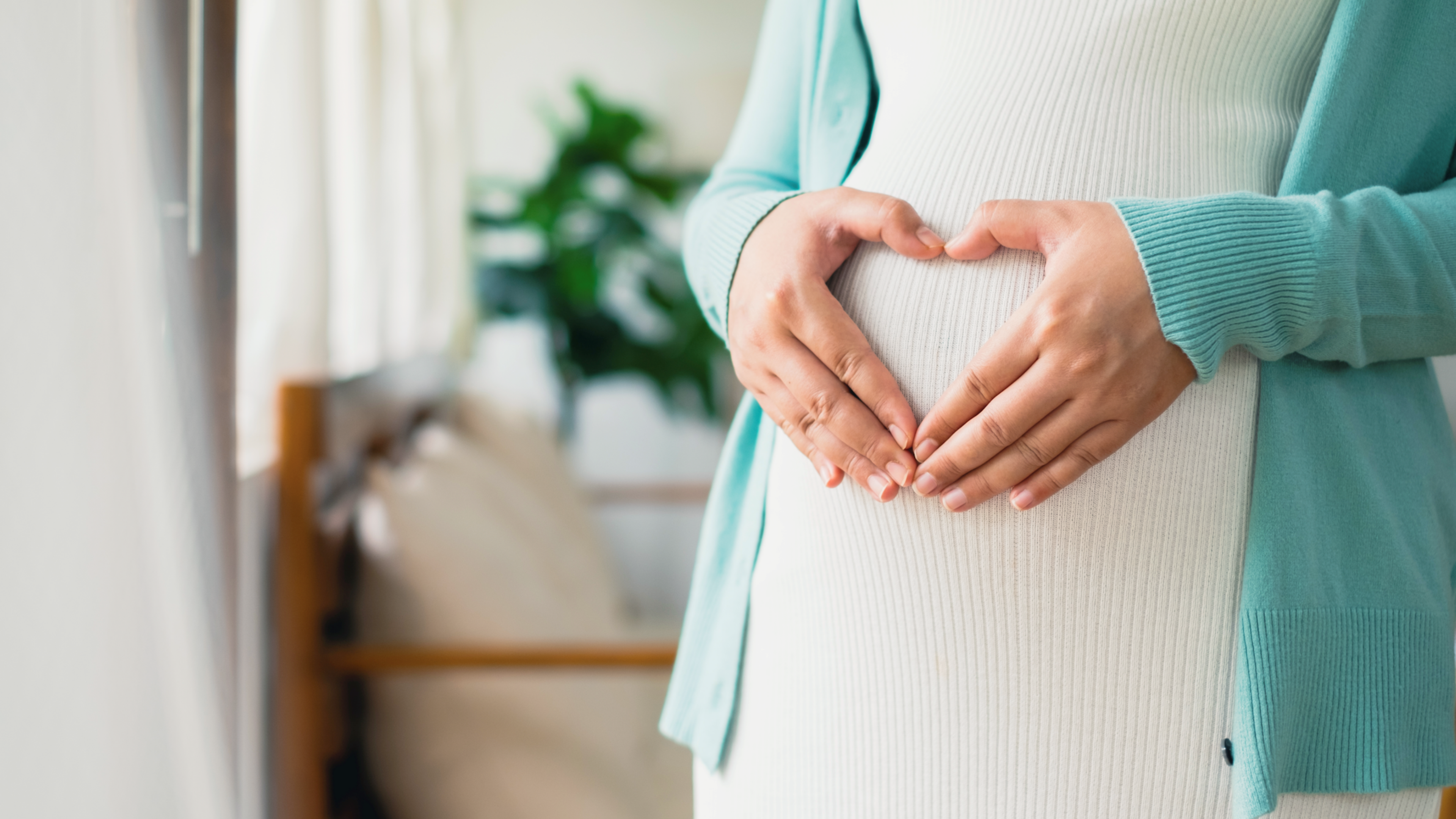  Panduan Lengkap untuk Ibu Hamil